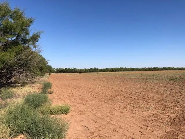 200 FM 1085 Roby, TX 79543