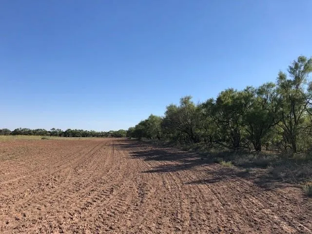 200 FM 1085 Roby, TX 79543