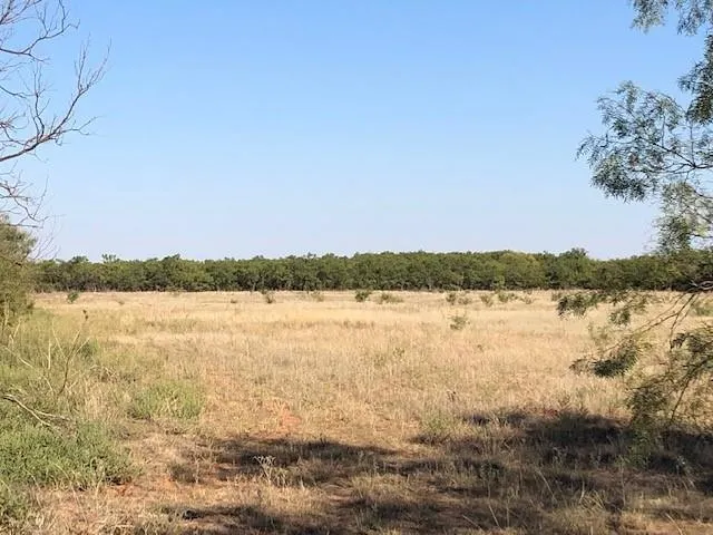 200 FM 1085 Roby, TX 79543