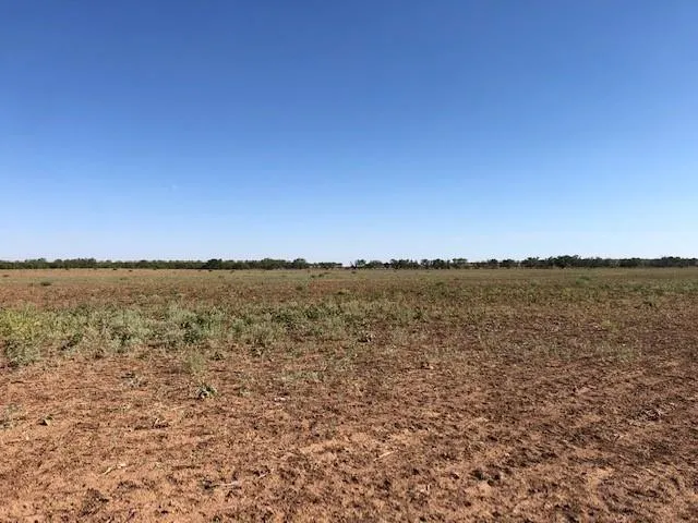 200 FM 1085 Roby, TX 79543