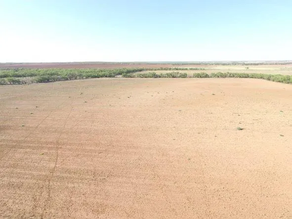 200 FM 1085 Roby, TX 79543