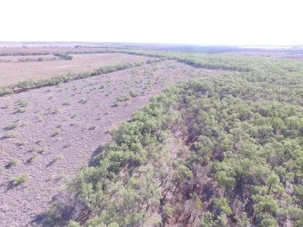200 FM 1085 Roby, TX 79543