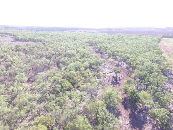 200 FM 1085 Roby, TX 79543