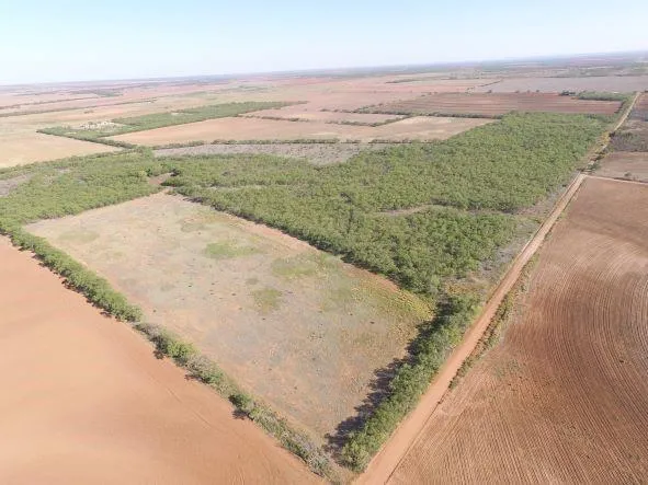 200 FM 1085 Roby, TX 79543