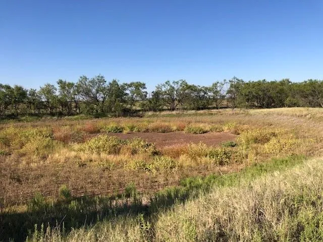 200 FM 1085 Roby, TX 79543