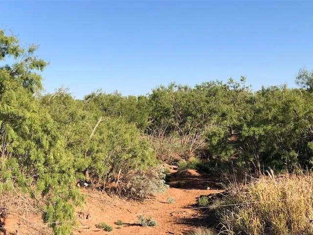 200 FM 1085 Roby, TX 79543