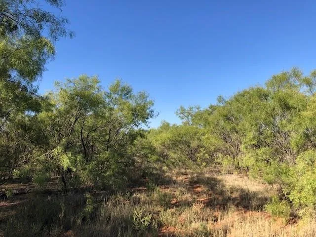 200 FM 1085 Roby, TX 79543