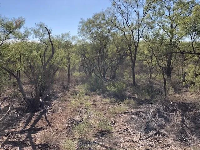 200 FM 1085 Roby, TX 79543