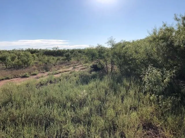 200 FM 1085 Roby, TX 79543