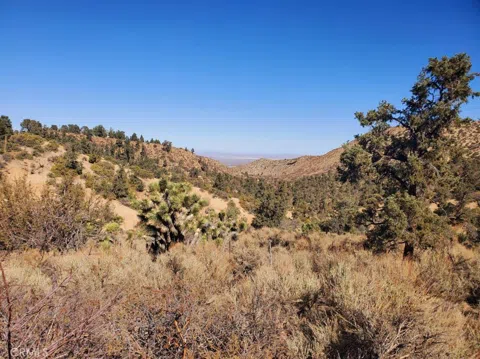 Old Valley Springs Road