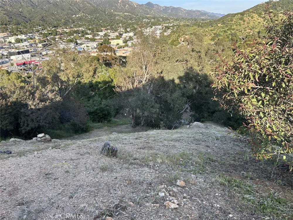 9832 High Top Drive Tujunga, CA 91042