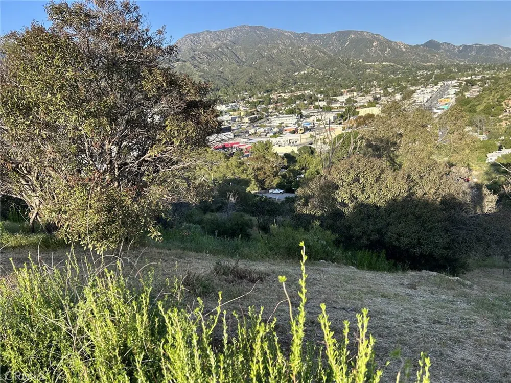 9832 High Top Drive Tujunga, CA 91042
