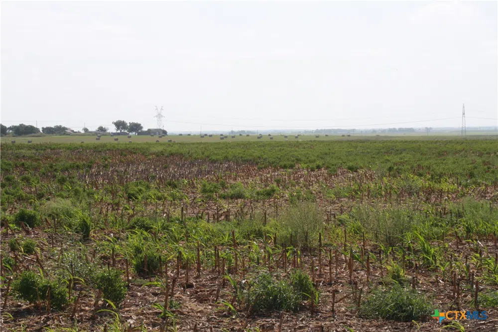 Gooseneck Road #3 Bartlett, TX 76511