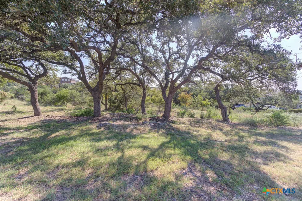 5830 Camp Creek Drive New Braunfels, TX 78132