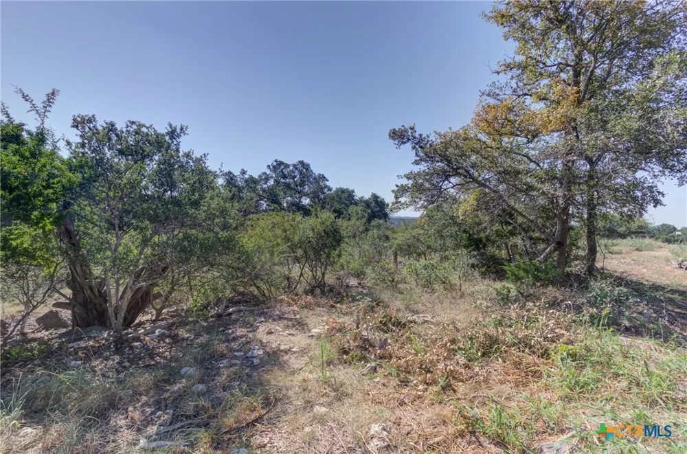 5830 Camp Creek Drive New Braunfels, TX 78132
