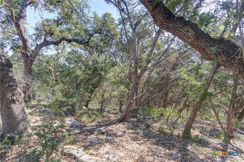 5830 Camp Creek Drive New Braunfels, TX 78132
