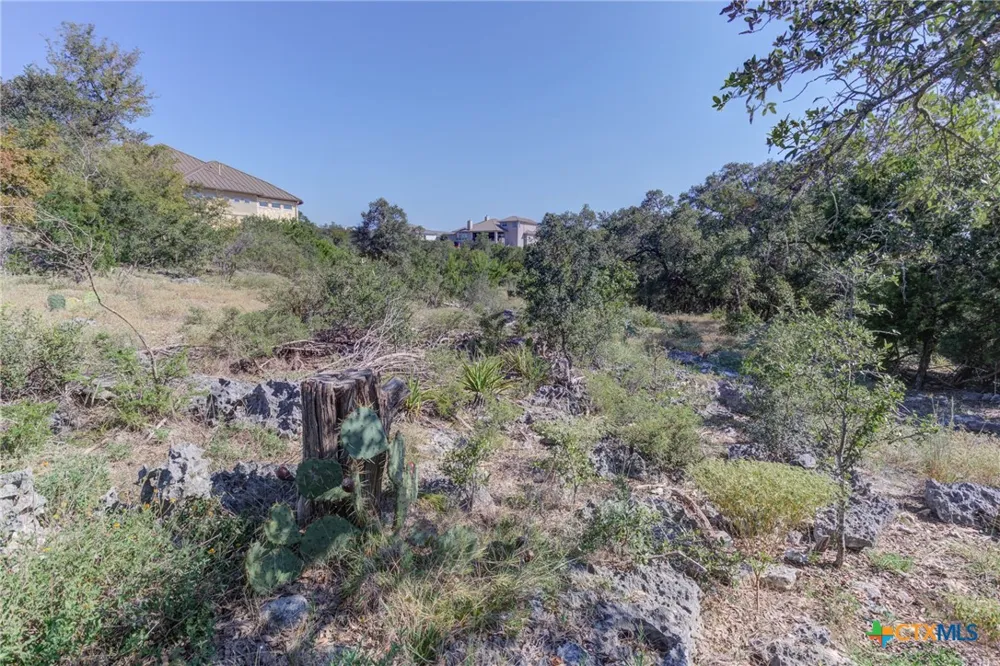 5830 Camp Creek Drive New Braunfels, TX 78132