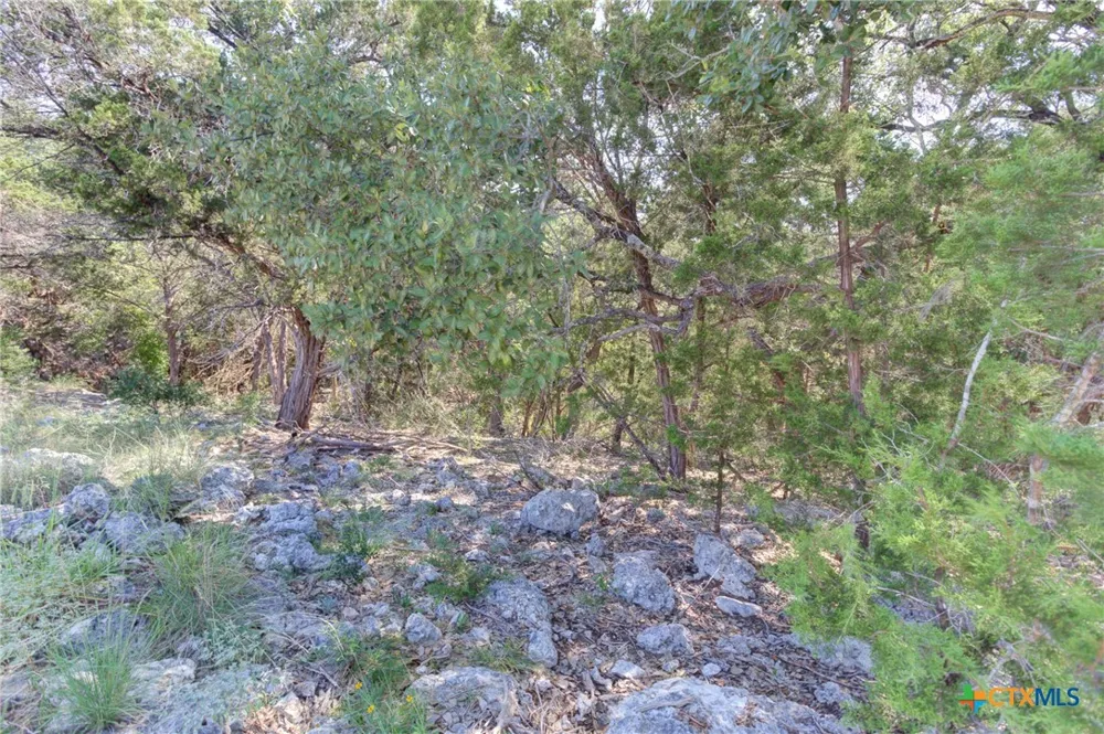 5830 Camp Creek Drive New Braunfels, TX 78132