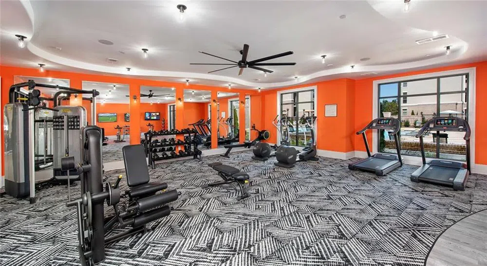 1045 Old Peachtree Road NW #4215 Suwanee, GA 30024