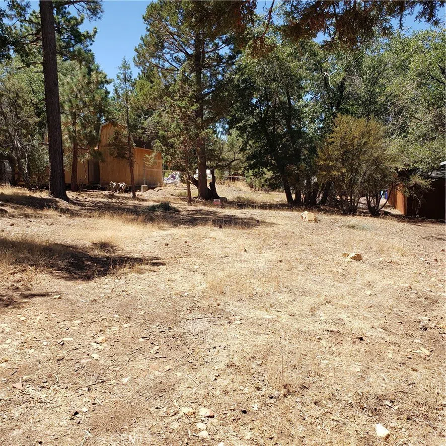 864 San Bernardino Avenue Sugarloaf, CA 92386