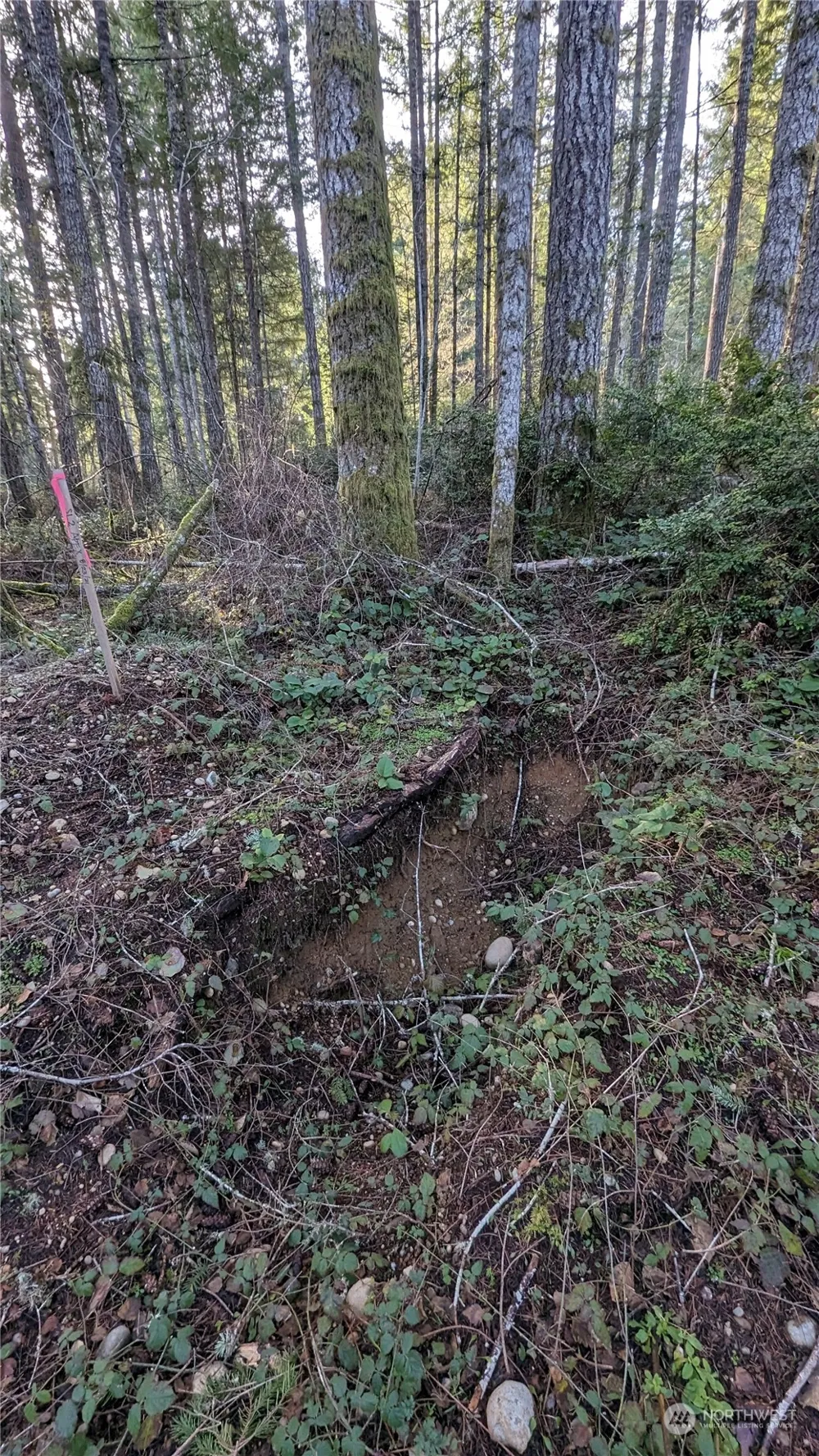 0 Lackey Road NW Vaughn, WA 98394