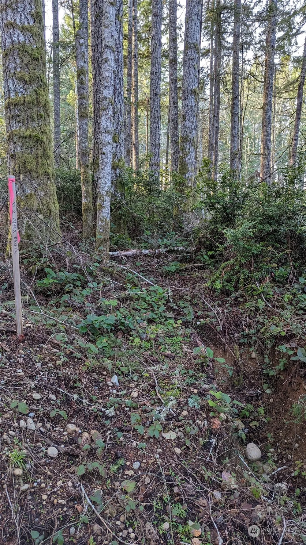 0 Lackey Road NW Vaughn, WA 98394