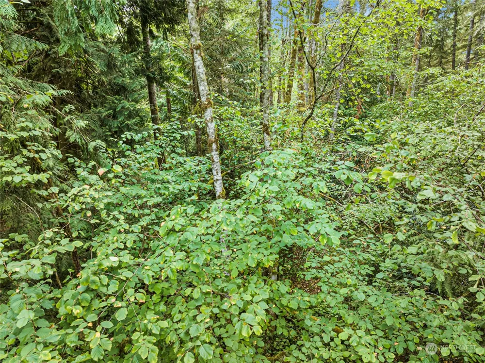 0 Lackey Road NW Vaughn, WA 98394