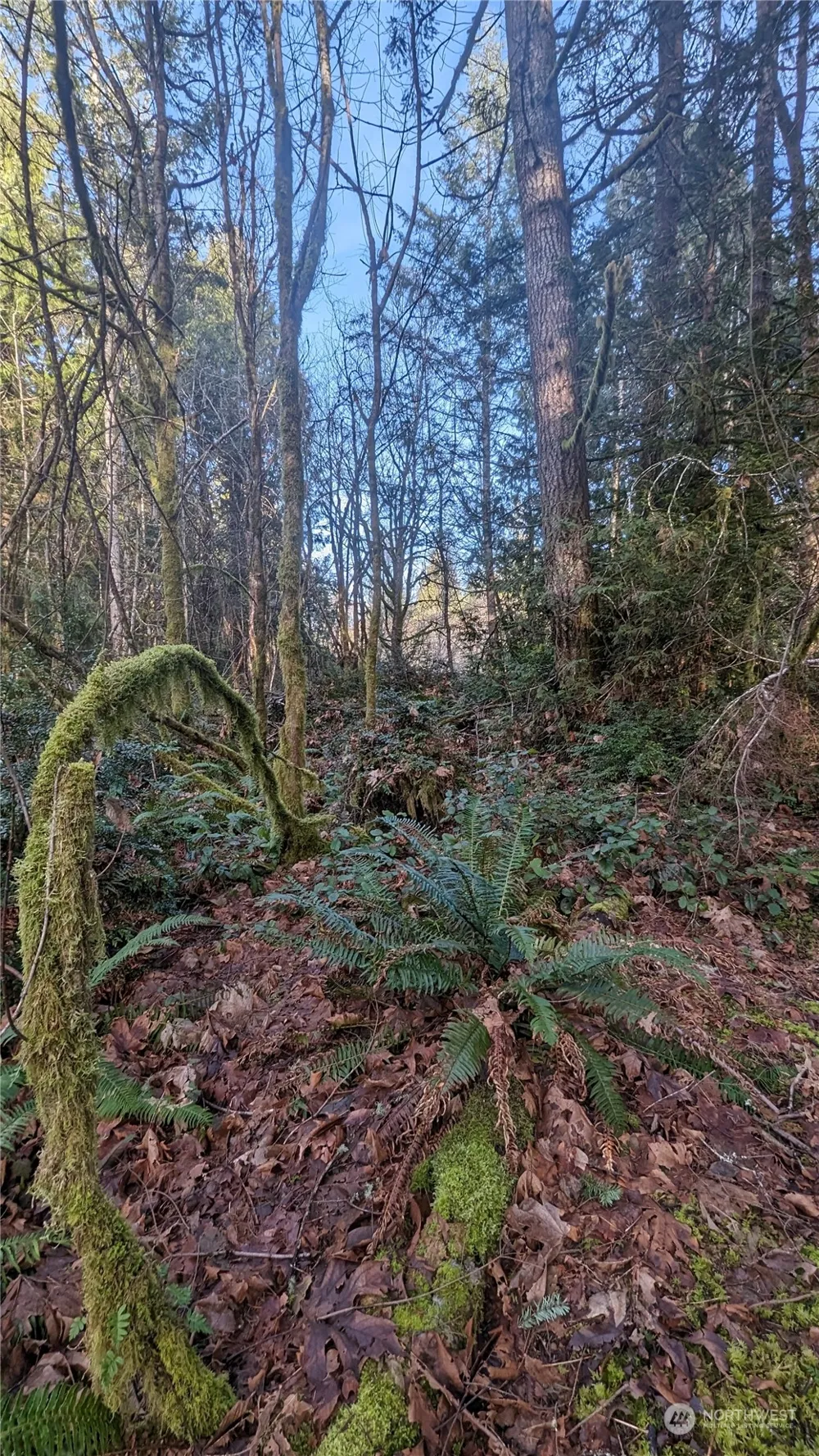0 Lackey Road NW Vaughn, WA 98394