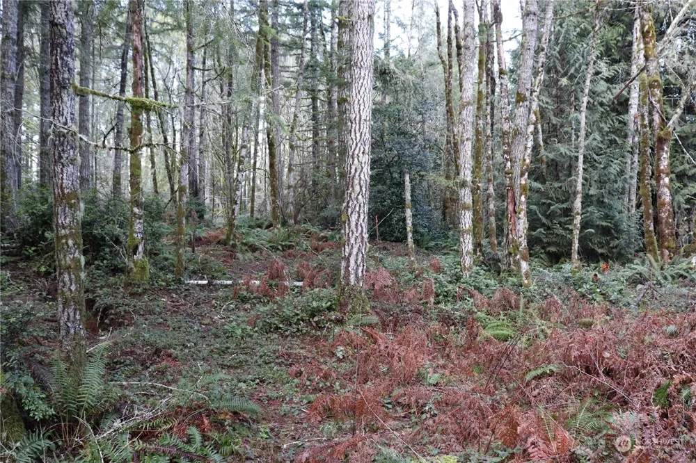 0 Lackey Road NW Vaughn, WA 98394