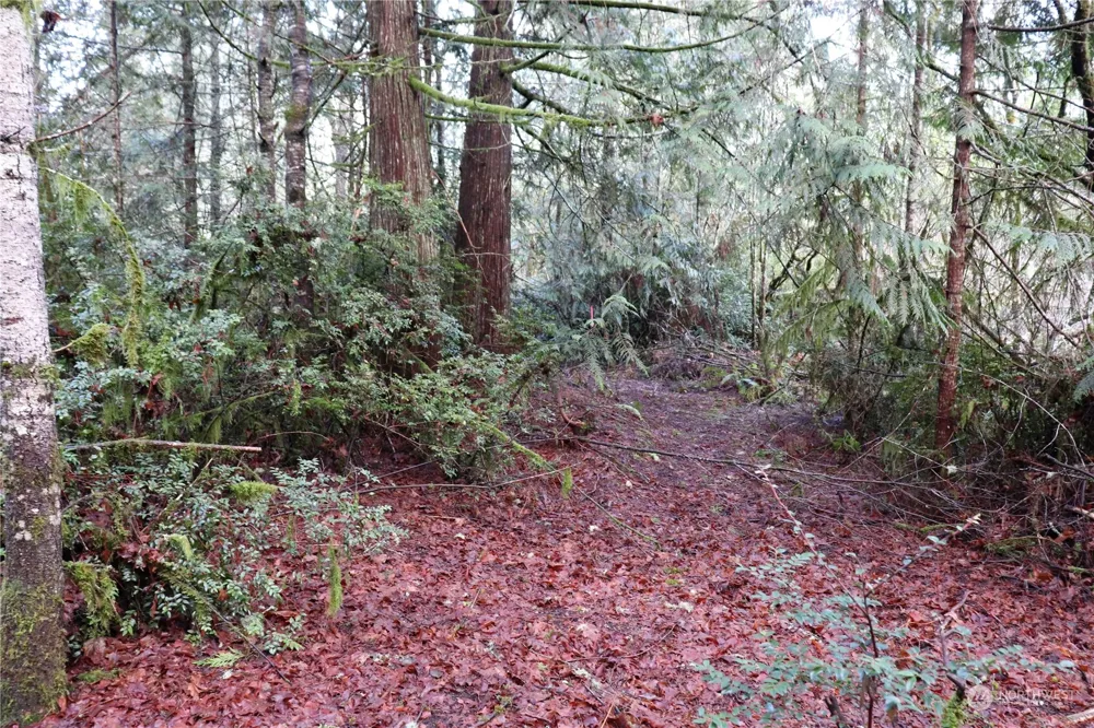 0 Lackey Road NW Vaughn, WA 98394