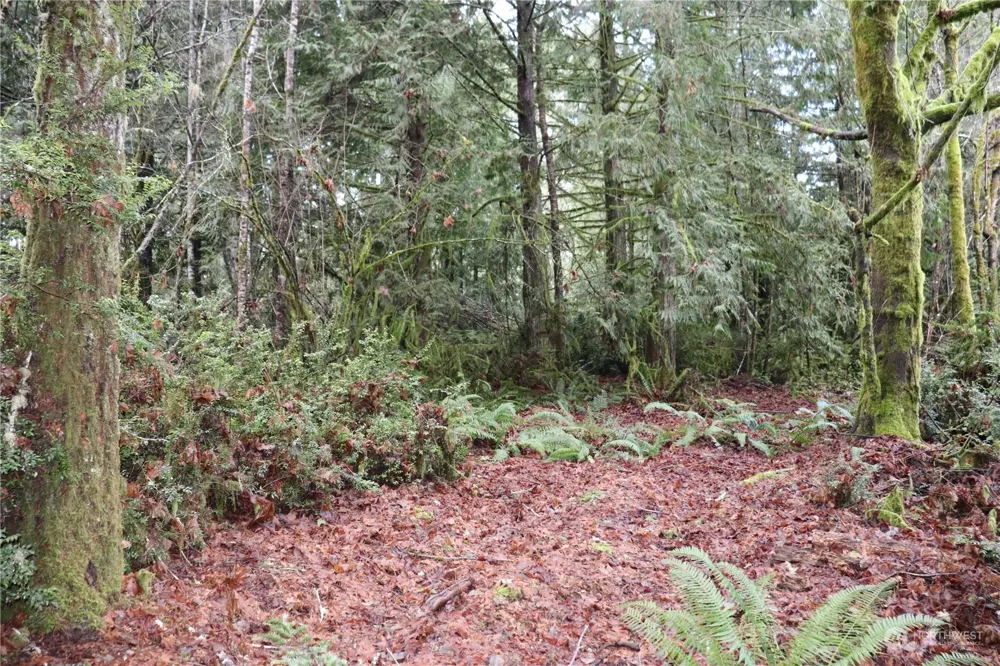 0 Lackey Road NW Vaughn, WA 98394