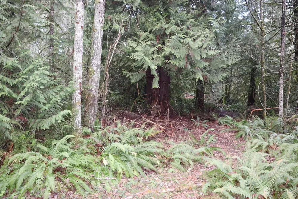 0 Lackey Road NW Vaughn, WA 98394