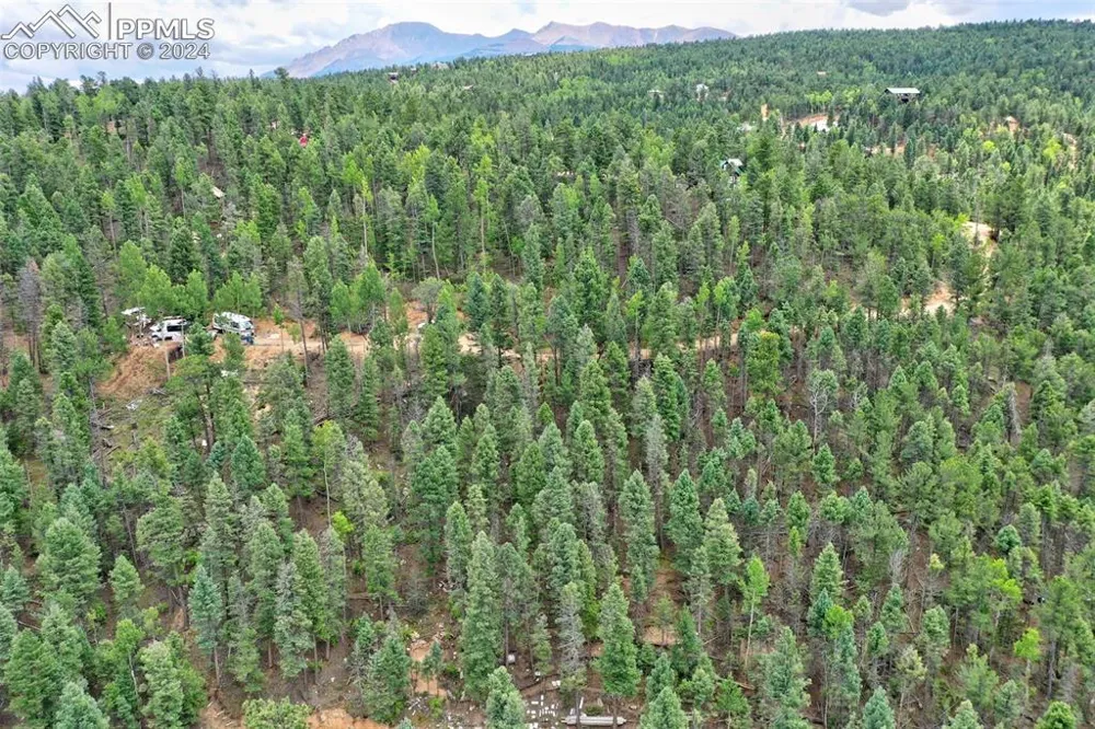251 Osoeola Road Woodland Park, CO 80863