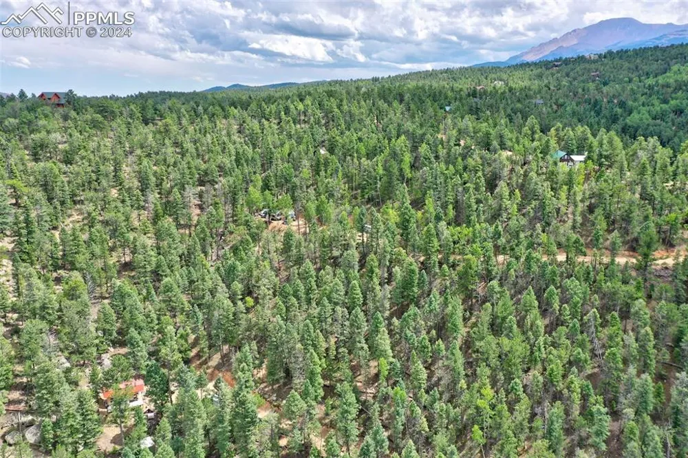 251 Osoeola Road Woodland Park, CO 80863