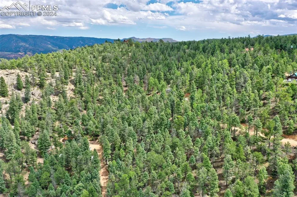 251 Osoeola Road Woodland Park, CO 80863