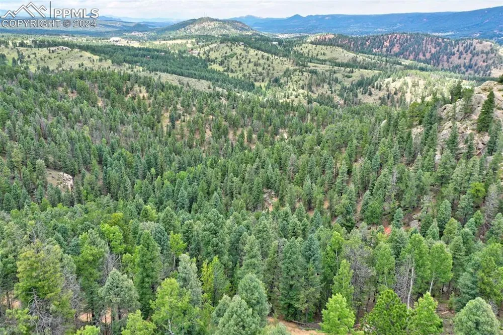 251 Osoeola Road Woodland Park, CO 80863