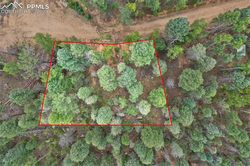 251 Osoeola Road Woodland Park, CO 80863