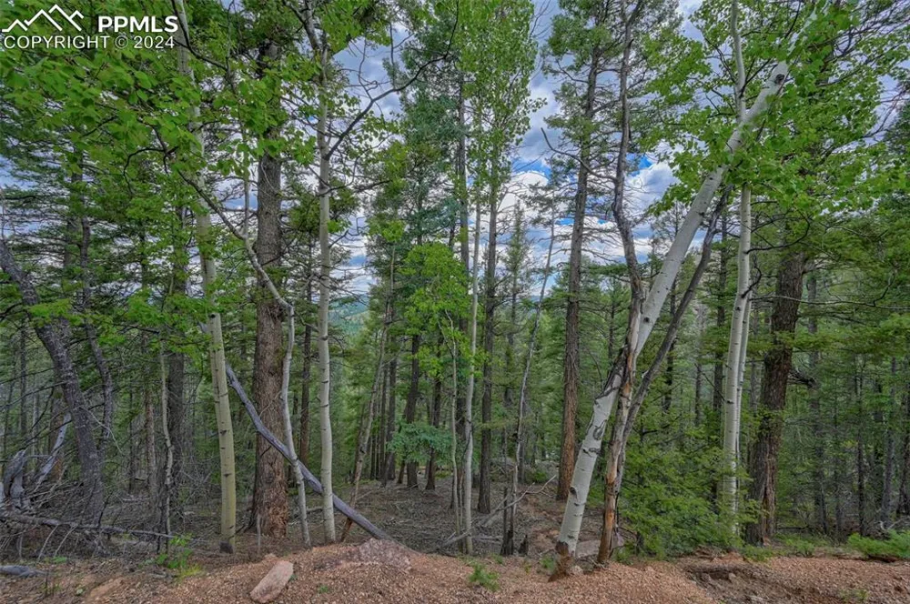 251 Osoeola Road Woodland Park, CO 80863
