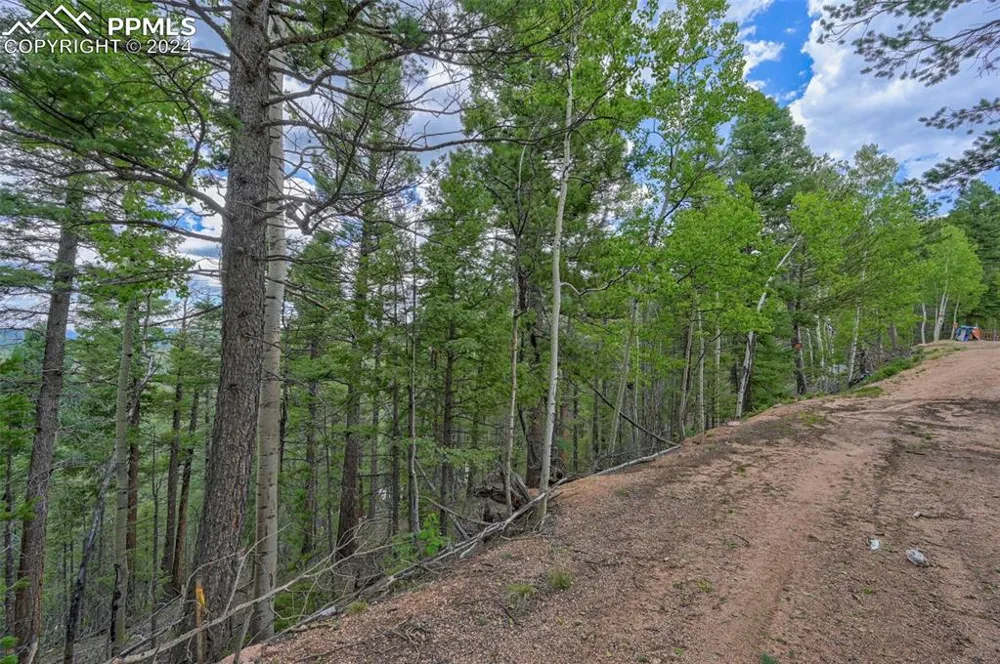 251 Osoeola Road Woodland Park, CO 80863