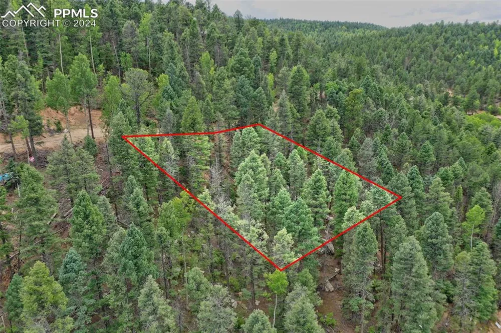 251 Osoeola Road Woodland Park, CO 80863