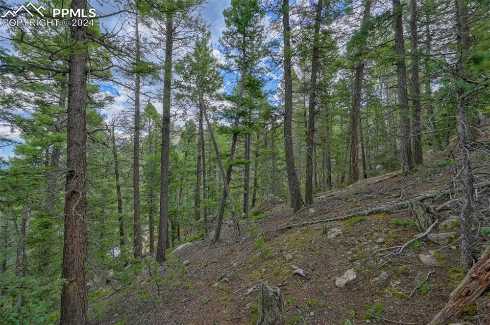 251 Osoeola Road Woodland Park, CO 80863