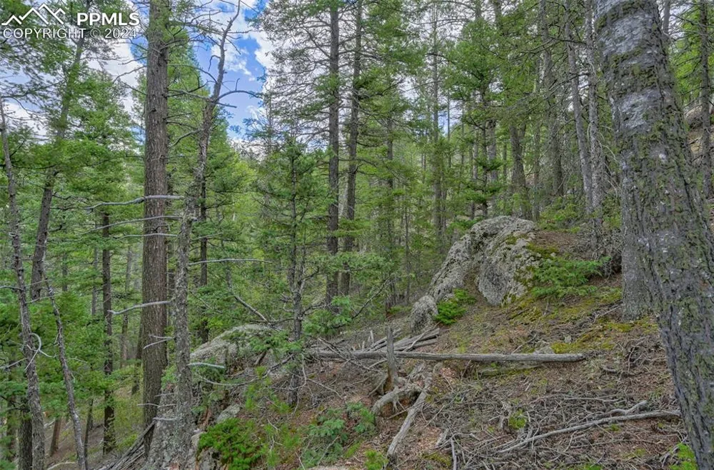 251 Osoeola Road Woodland Park, CO 80863