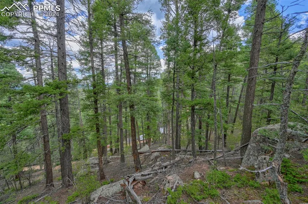 251 Osoeola Road Woodland Park, CO 80863