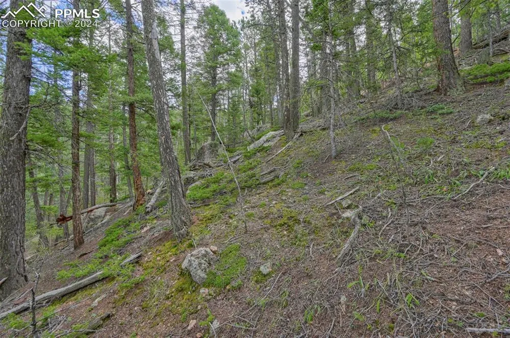 251 Osoeola Road Woodland Park, CO 80863