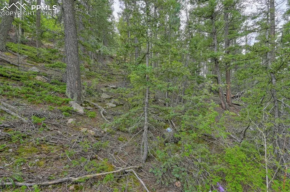 251 Osoeola Road Woodland Park, CO 80863