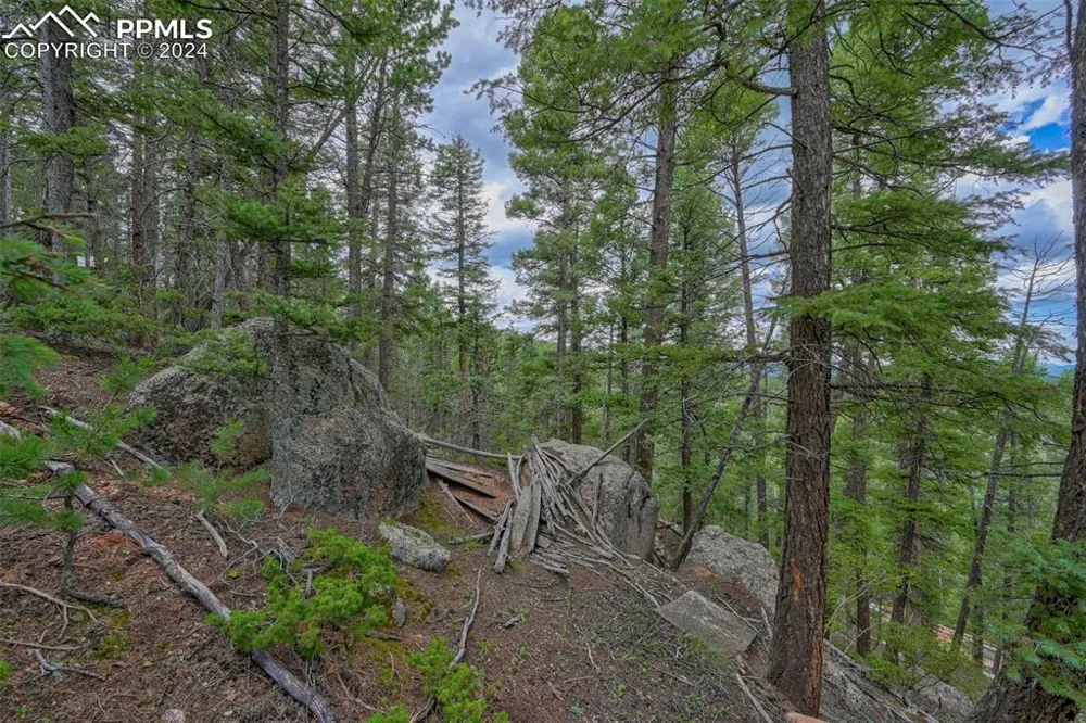 251 Osoeola Road Woodland Park, CO 80863