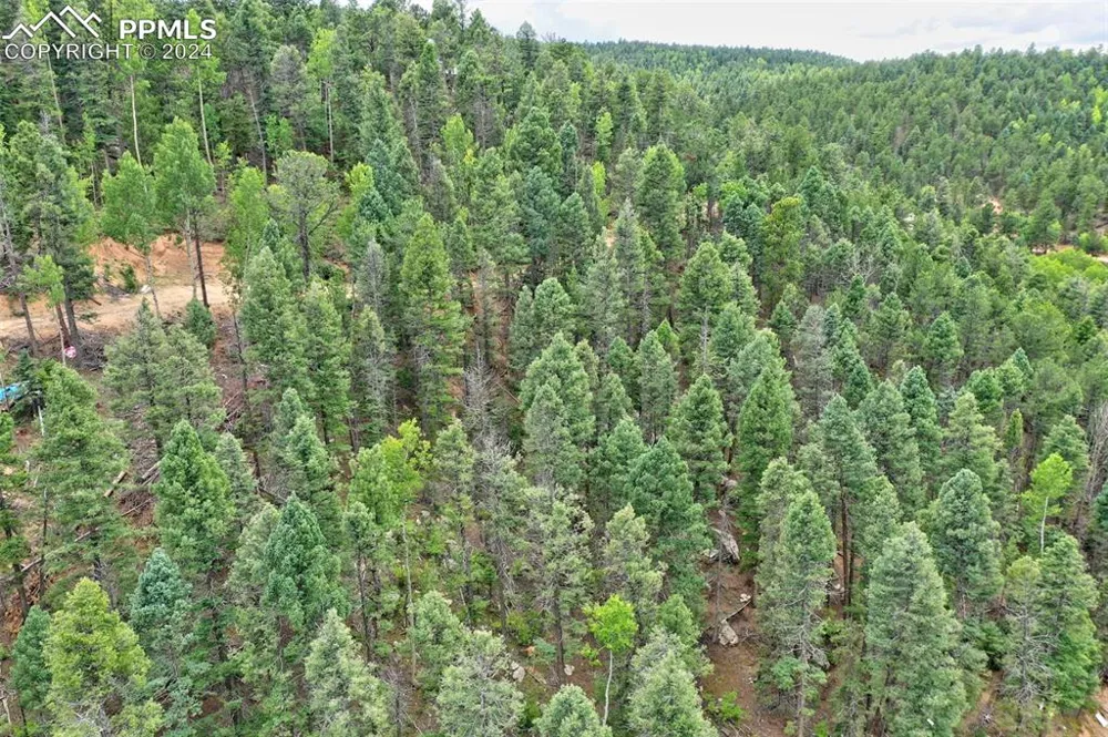 251 Osoeola Road Woodland Park, CO 80863