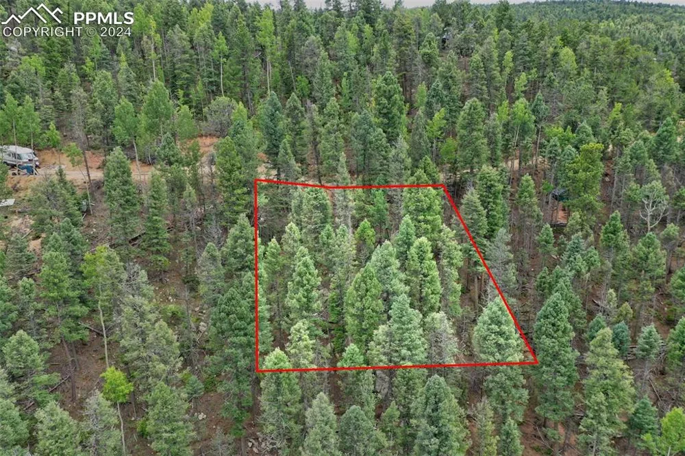 251 Osoeola Road Woodland Park, CO 80863