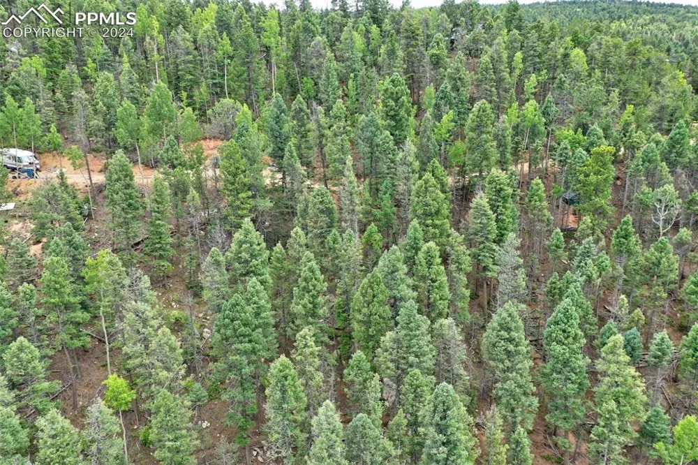 251 Osoeola Road Woodland Park, CO 80863