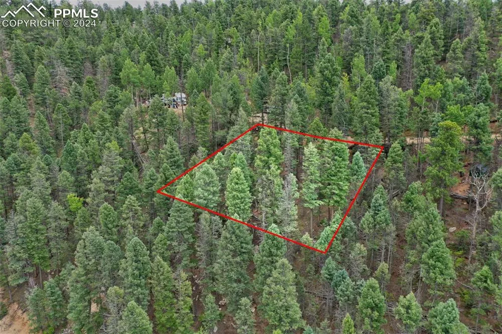 251 Osoeola Road Woodland Park, CO 80863